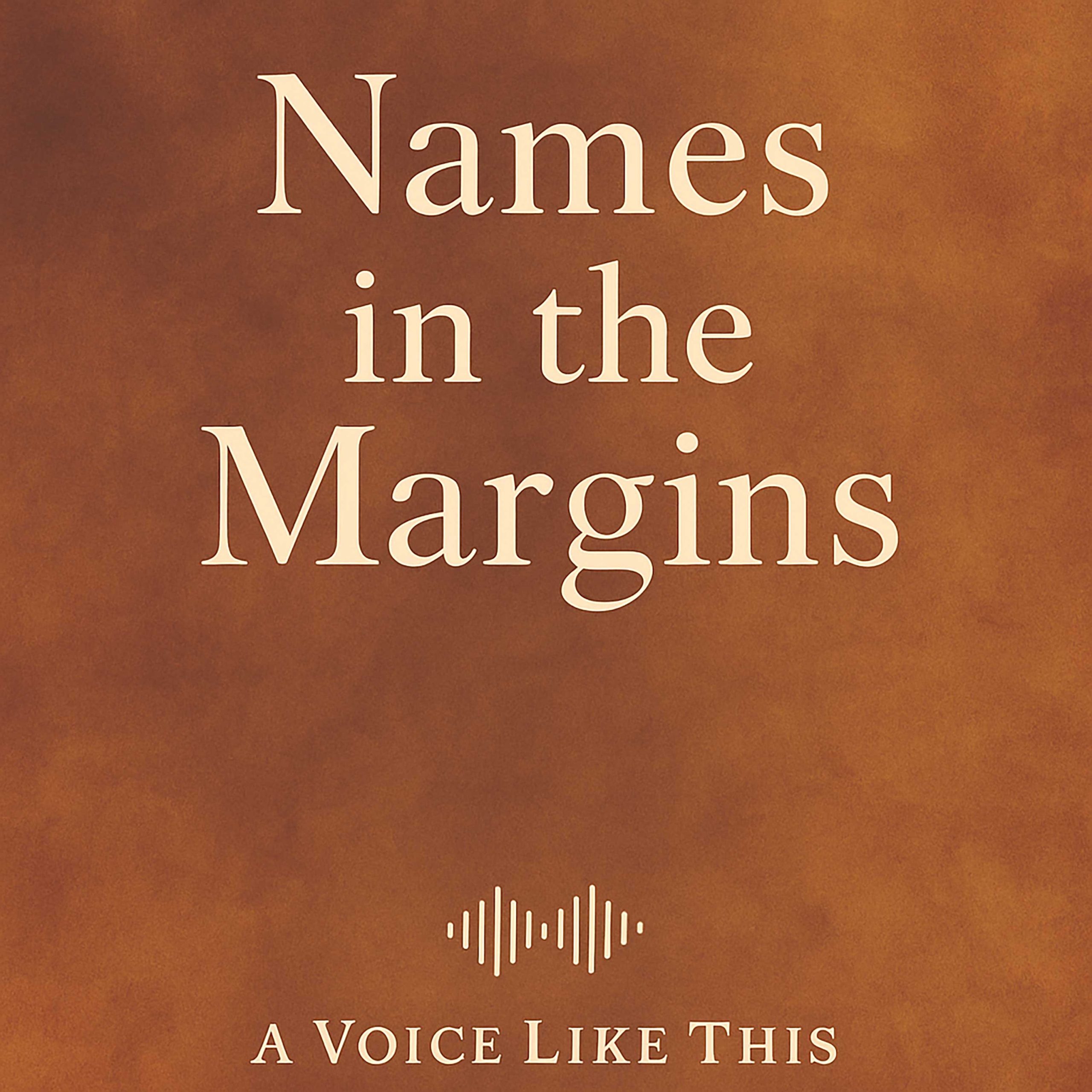 A Voice Like This Names in the Margins